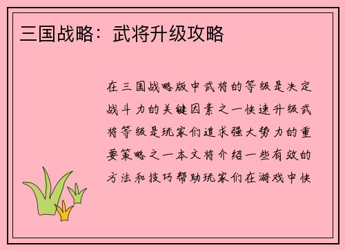 三国战略：武将升级攻略