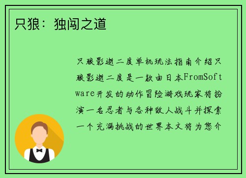 只狼：独闯之道